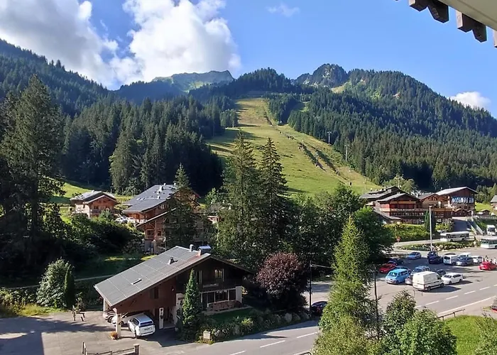 Confortable - 4 Pers, Balcon Et Casier à Skis - Fr-1-676-98 Châtel